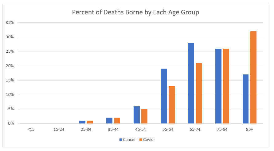 Graph - Percent of Deaths Borne by Each Age Group