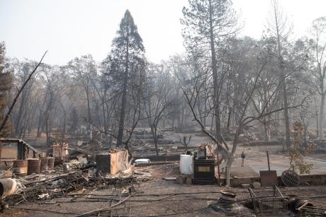 Image of a burned community in Paradise, CA