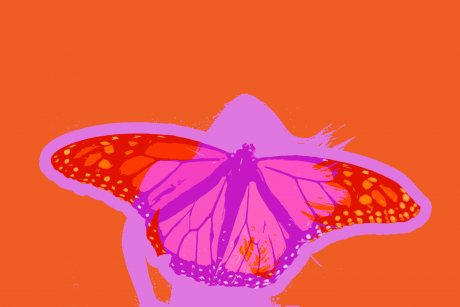Butterfly and silhouette of person dancing