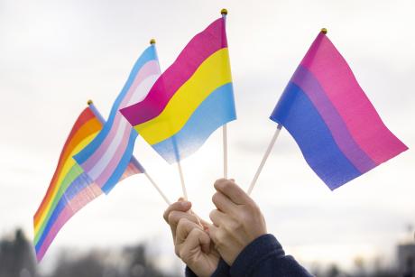Hands holding lgbt, trans, bi and pan flags