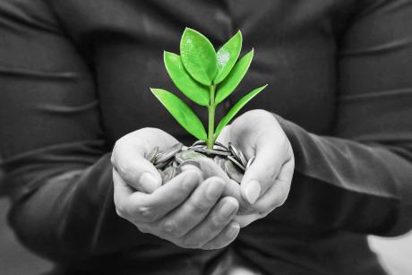 Black and white photo of hands holding coins with a green plant growing 