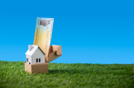 Photo of government-issued check in an opened cardboard box with a small model of a house, sitting on grass with a blue-sky background