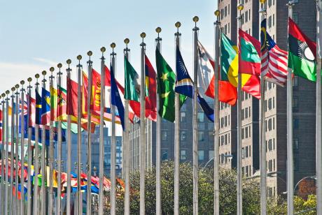 U.N. Flags