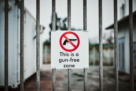 anti-gun post