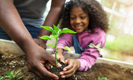 Young kid enjoys planting plant with dad or grandpa