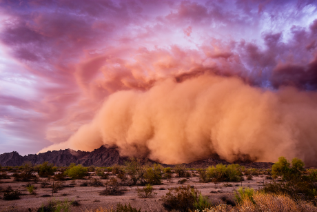 Dust storm quickly overtakes desert scene