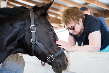 Horses help calm people with dementia