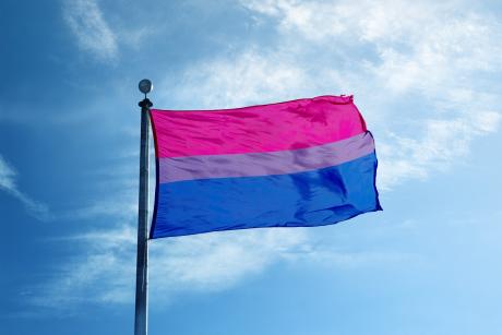 pink, lavender and blue bisexual flag flying
