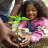 Young kid enjoys planting plant with dad or grandpa