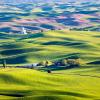 Steptoe Butte State Park