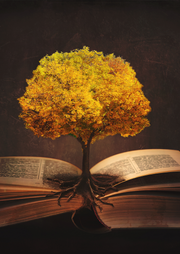 Tree grows out of book