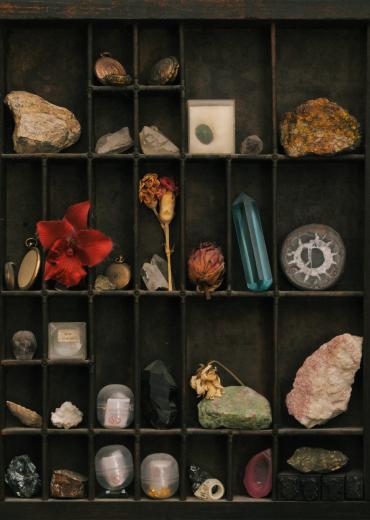 Wall of curios in cabinet