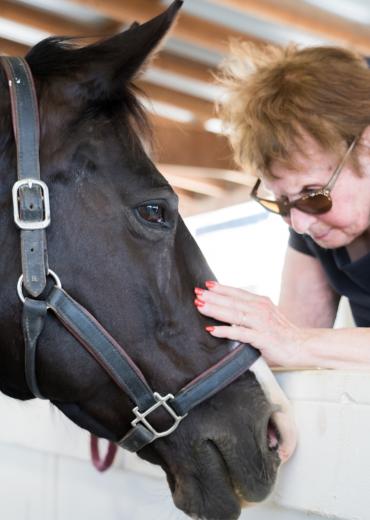 Horses help calm people with dementia