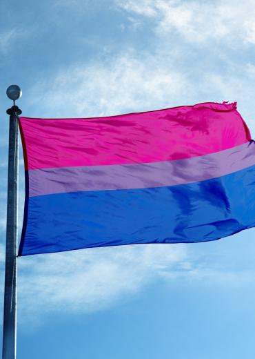 pink, lavender and blue bisexual flag flying