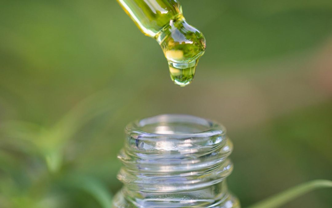 Hemp oil and CBD: wellness without complications