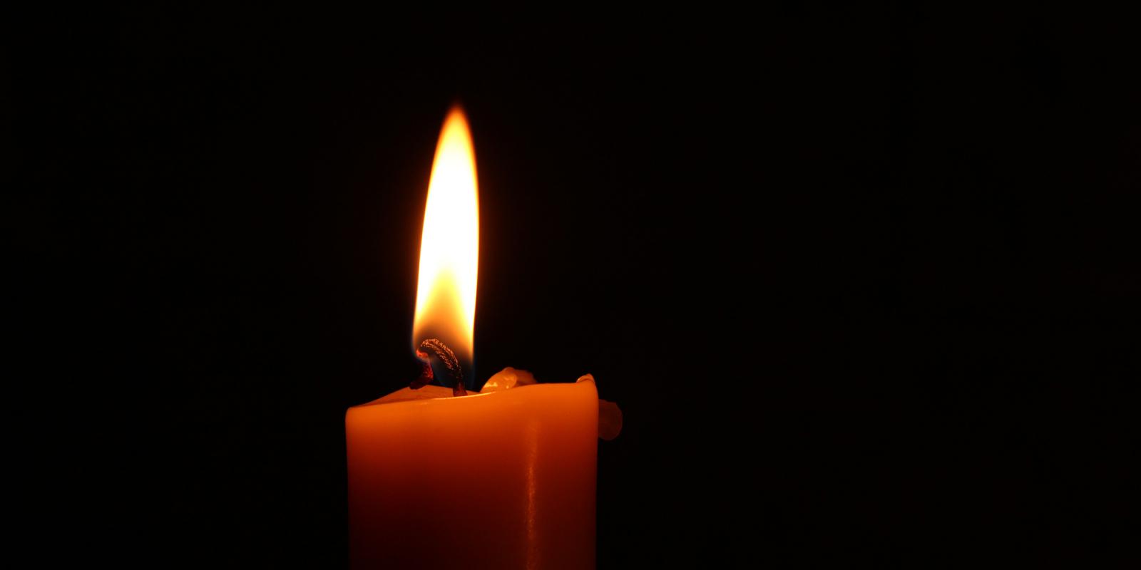 Featured image for Remembering Dr. Philip R. Lee and His Legacy