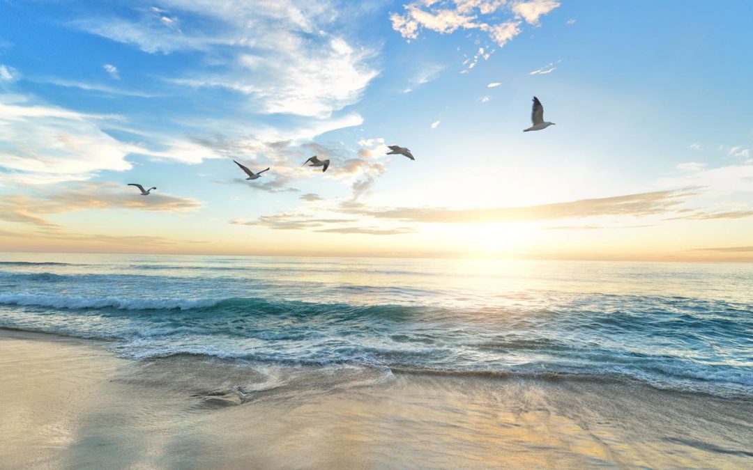 Cynthia Banks’ New, No Take Back Retirement