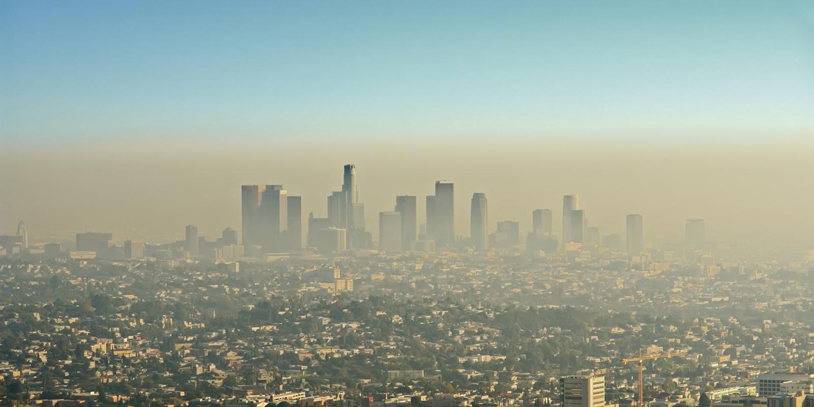 Featured image for Air Pollution Leads to Death, Alzheimer’s Disease