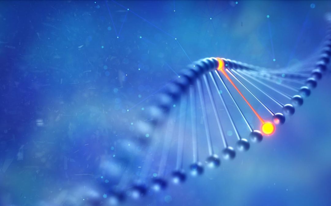 Point-Counterpoint: To Test or Not To Test for Alzheimer’s Genetic Risk