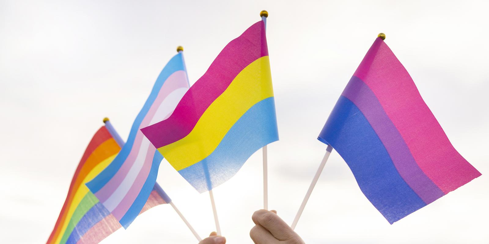 Featured image for LGBT Elders’ Health and Violence
