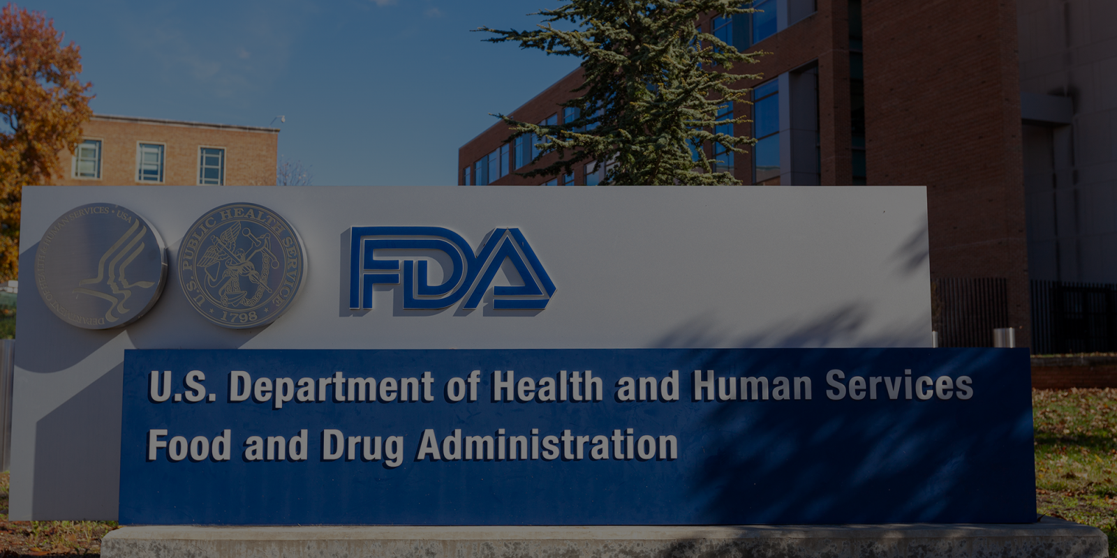 Featured image for FDA Was Wrong: Aduhelm Shows No Clinical Benefit