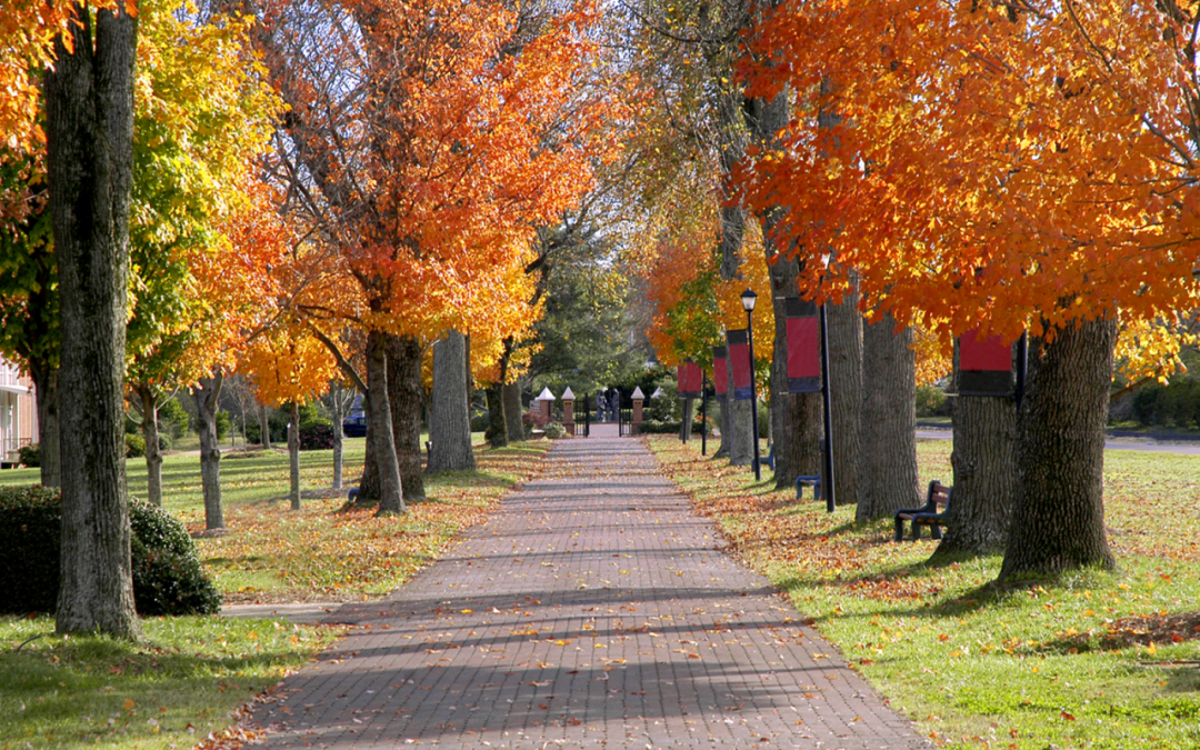 Future Proof: Age-Inclusive Education