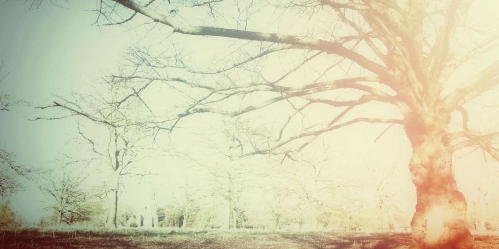 Featured image for Storytelling in Parkinson’s Disease Vital