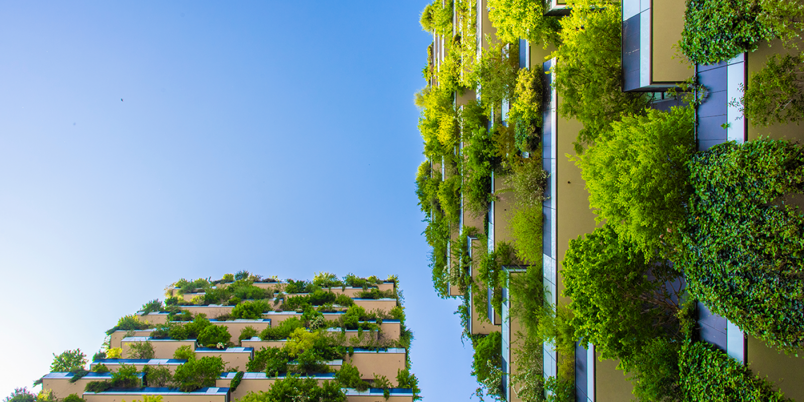 Featured image for Age-, Eco-Friendly, Climate Resilient Housing