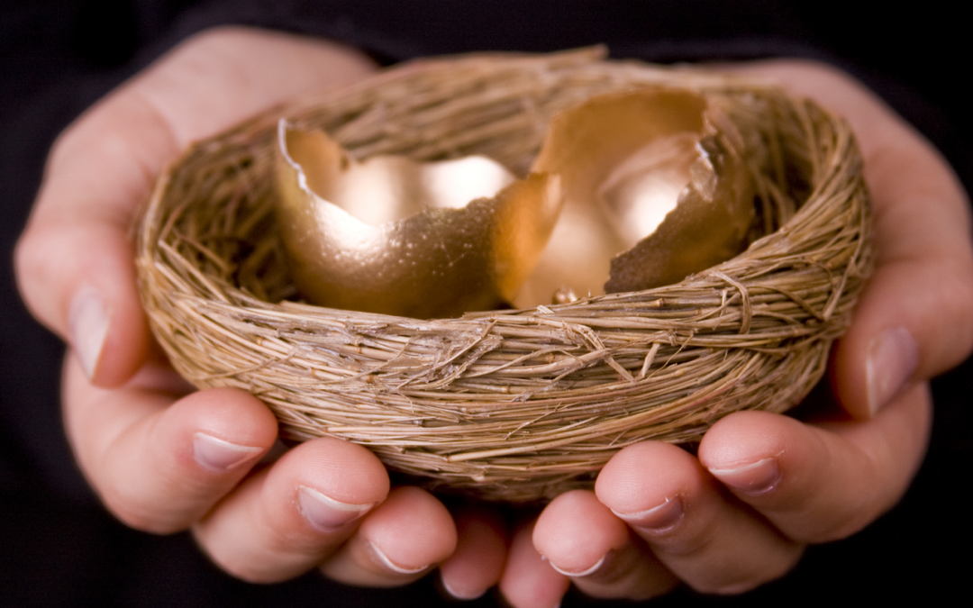 The Empty Nest Egg: Creating True Economic Security in Black and Brown Communities