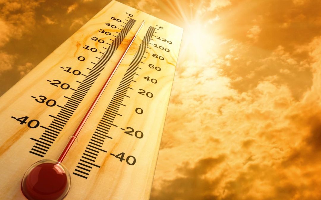 The Heat Is Killing Us