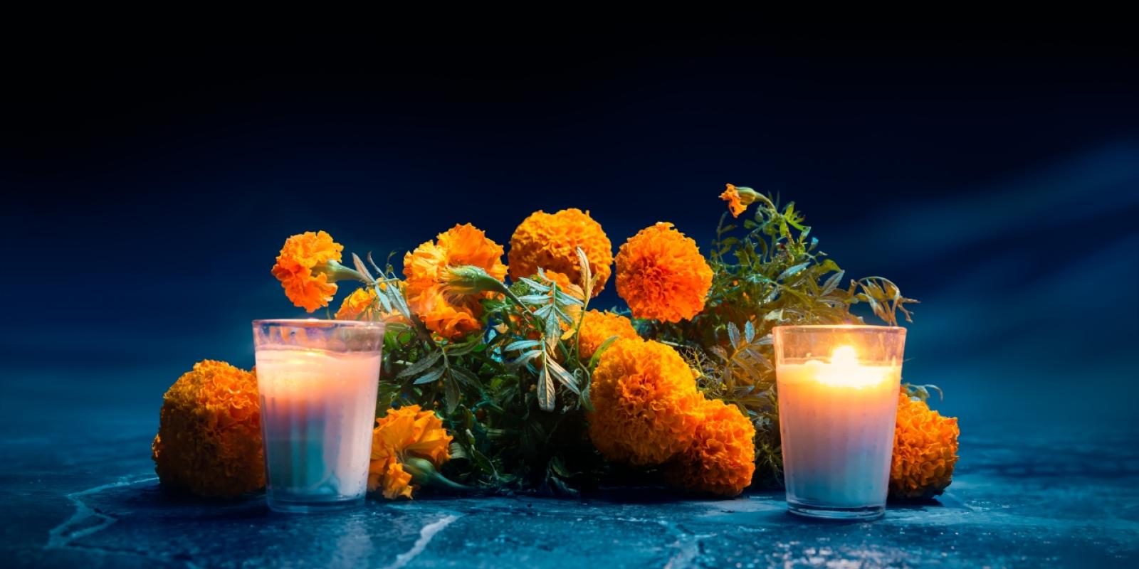 Featured image for Death, Dying, and Grief: More Than 5-Letter Words