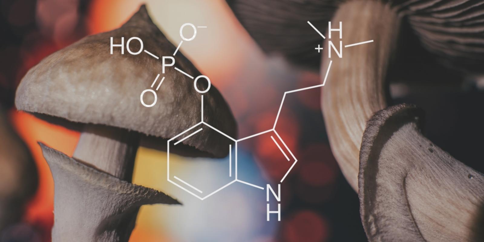 Featured image for Therapeutic Potential of Psychedelic Medicine