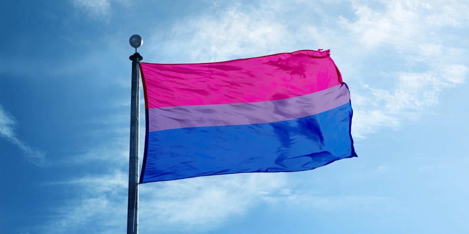 Featured image for Bisexual Sexualities in Later Life