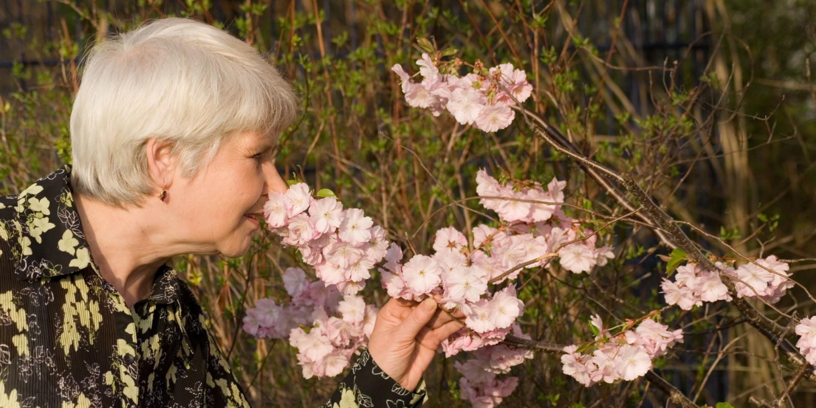 Featured image for Improving Lives of People with Dementia