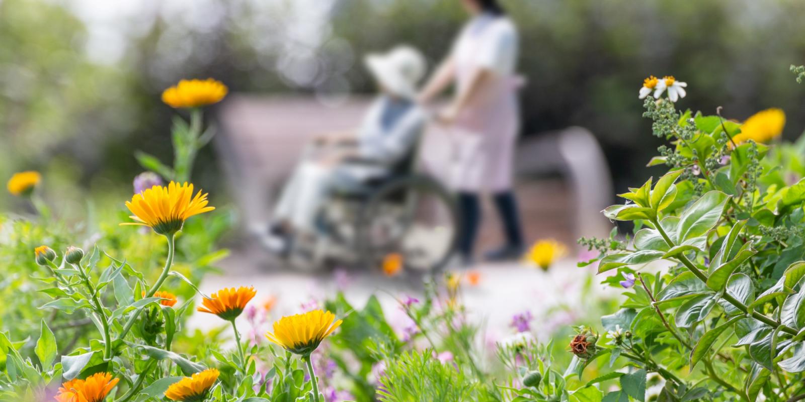 Featured image for UCSF’s Care at Home Program: Calming Chaos