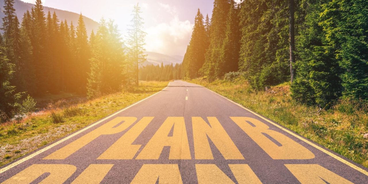 Backing Plan The Backup Plan—A New Planning Model that Keeps Solo Agers in Mind ...