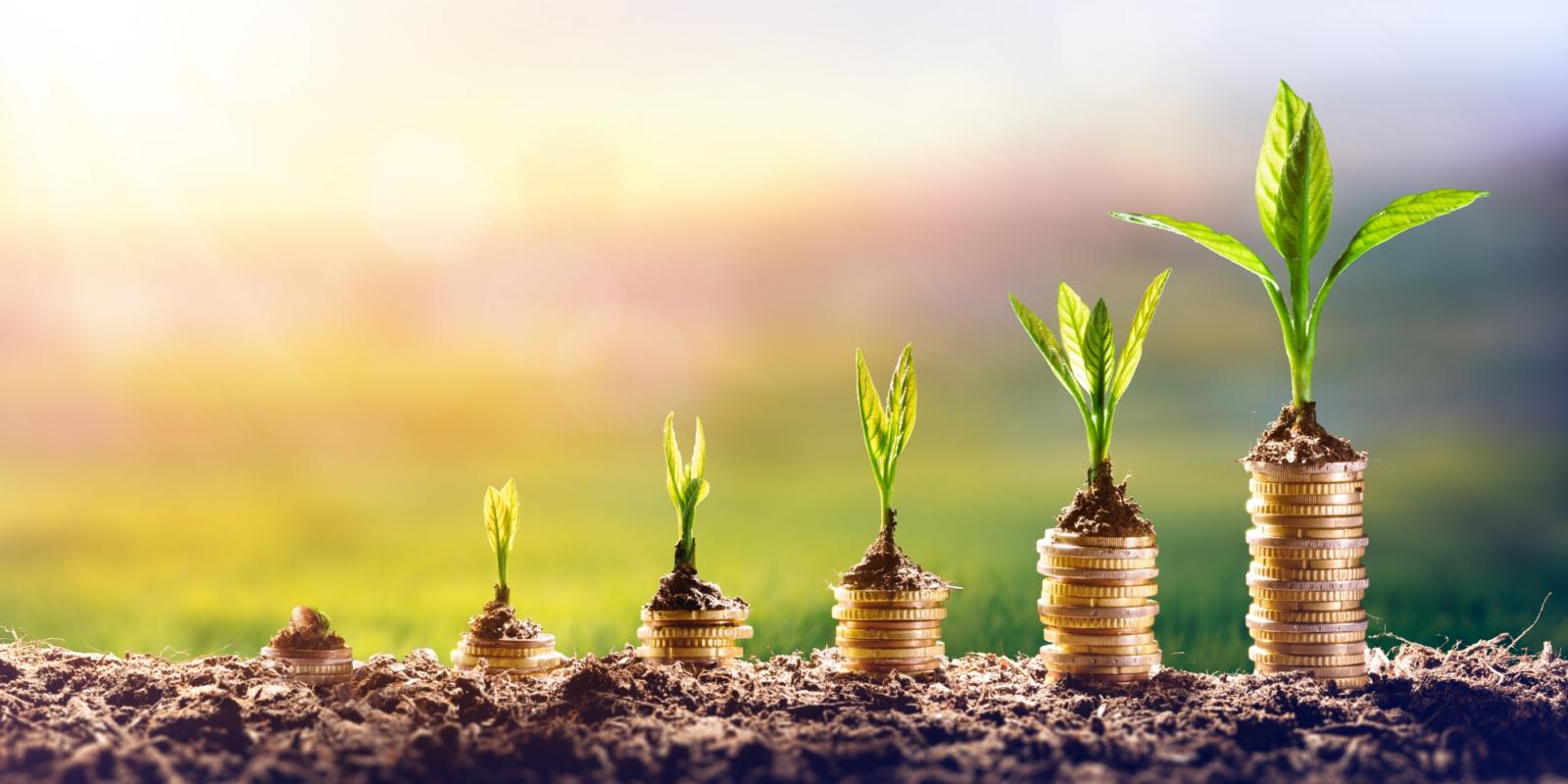 Featured image for Financial Planning Considerations for Solo Agers