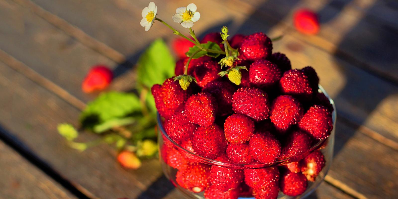 Featured image for To Increase Longevity Practice Sensual Wellness