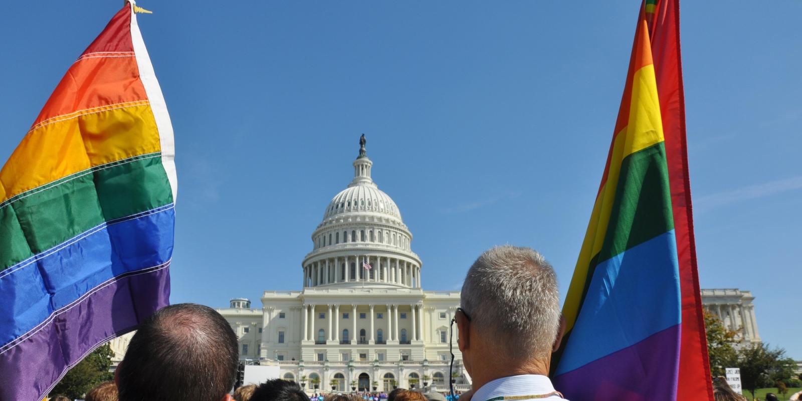 Featured image for Multigen Advocacy in Sexual/Gender Minorities
