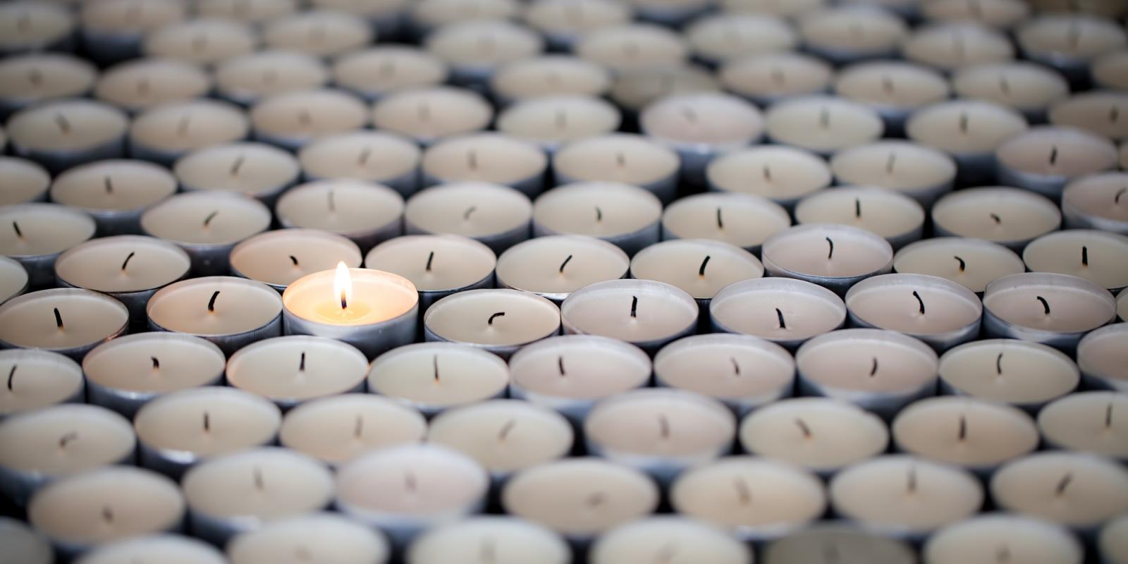 Featured image for Our Guest Editor: Passionate re Elders’ Resilience