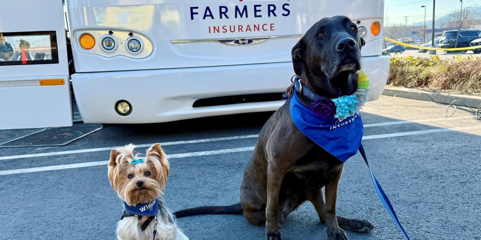 pet_partners_winston-and-joycropped