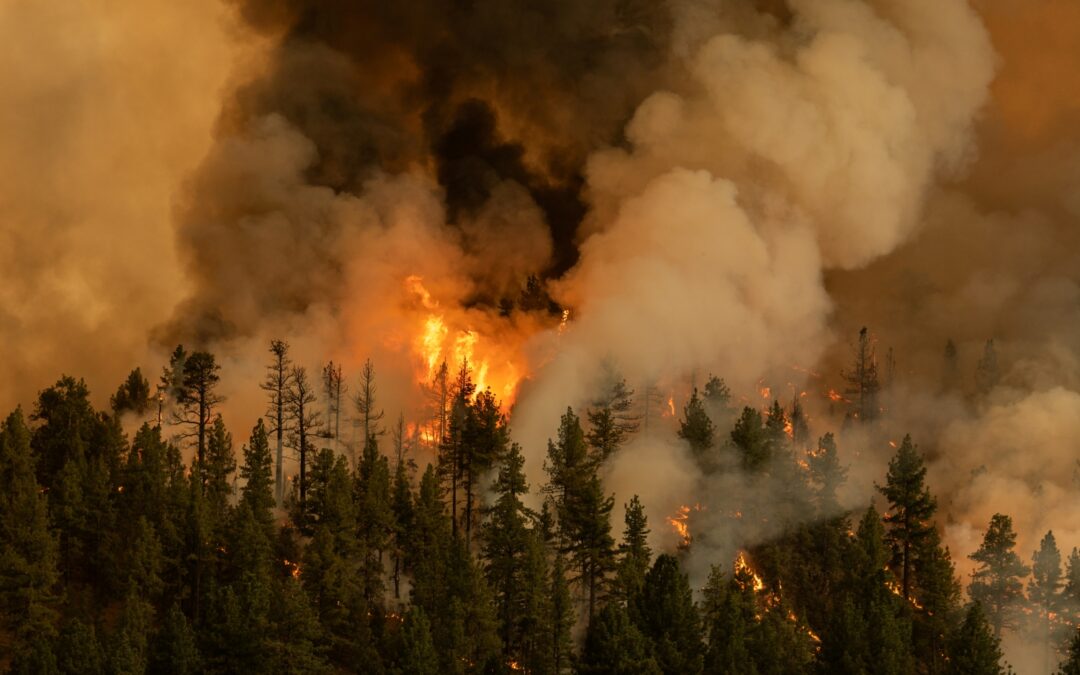 Age-Friendly Strategies for a Warming World
