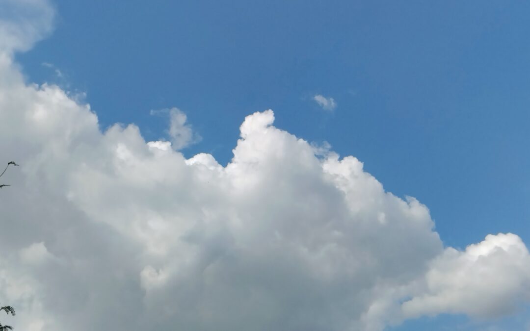 Where Aging Actually Happens